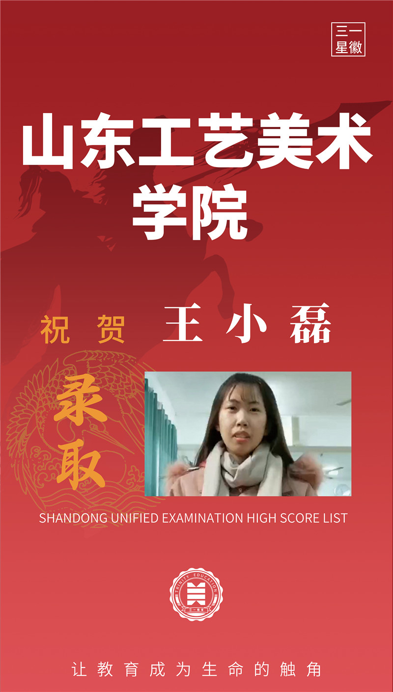 山东工艺美术学院 王小磊